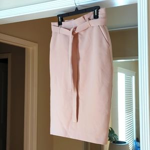 Banana Republic Factory Pencil Skirt Pink